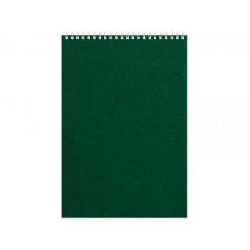 Бизнес - блокнот Альт А4 (198 х 285 мм) Office 60 л., зеленый