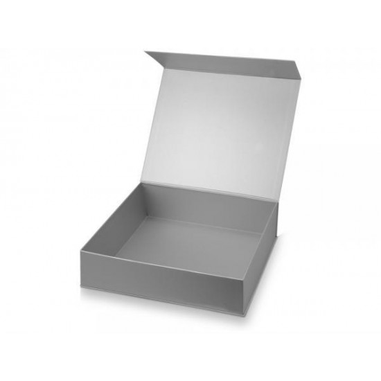 Подарочная коробка Giftbox большая, серебристый Подарочная коробка Giftbox большая, серебристый