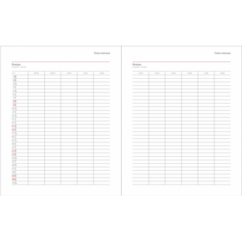 Обложка твердая City Agenda Buffalo A4, красный