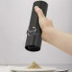 Набор из двух мельниц для соли и перца на подставке Salt & Pepper Set, пластик, черный