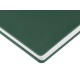 Ежедневник недатированный А5 Carrara, зеленый