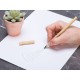 Вечный карандаш из переработанной бумаги Recycled pencil, натуральный