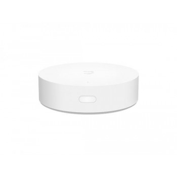 Центр управления умным домом Mi Smart Home Hub ZNDMWG02LM (YTC4044GL)